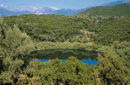 It’s worth visiting the semi mountainous Marantochori area where there is a lake of unrivalled beauty that welcomes wonderful subjects of fowl fauna.
 LEFKADA PHOTO GALLERY - MARANTOCHORI LAKE