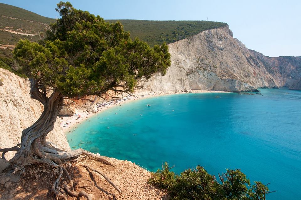 Porto Katsiki Tree - Tree above Porto Katsiki beach in the morning