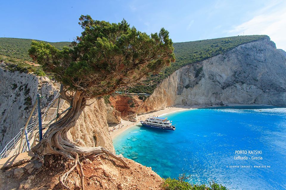 Porto Katsiki tree and stairs - Tree and stairs above Porto Katsiki beach